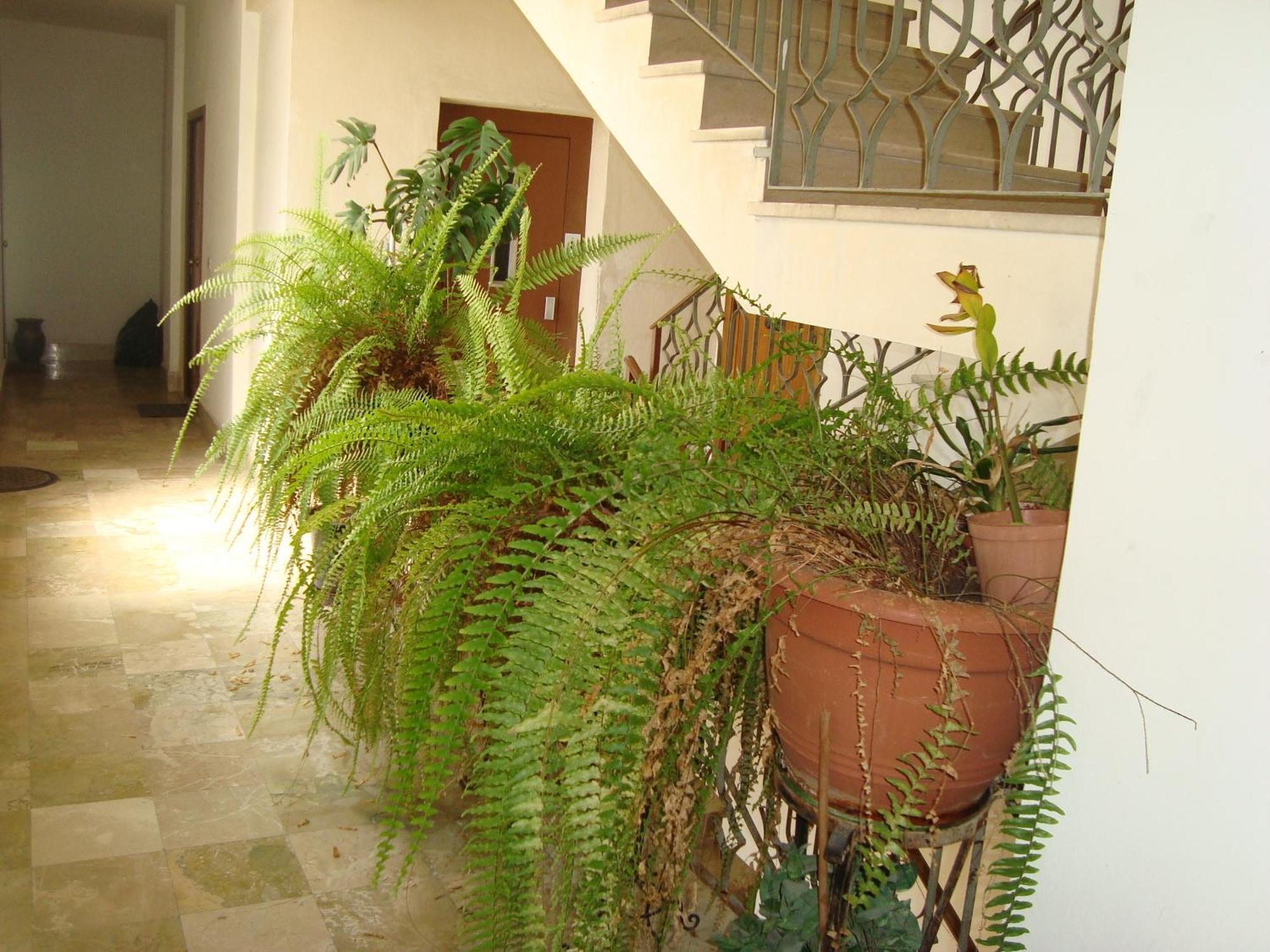 Antonio'S House Bed and Breakfast Agrigento Exterior foto